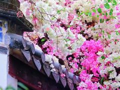 -深圳国际园林花卉博览园