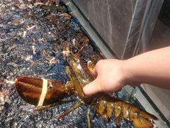 -海鲜e族(马王堆店)