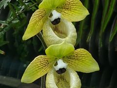 -国家植物园南园