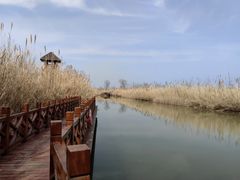 -泗洪洪泽湖湿地景区