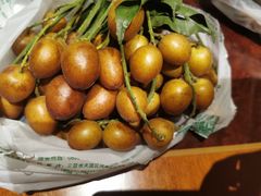 -新鸿港水果市场