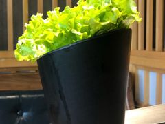 -九田家黑牛烤肉料理(珠江摩尔店)