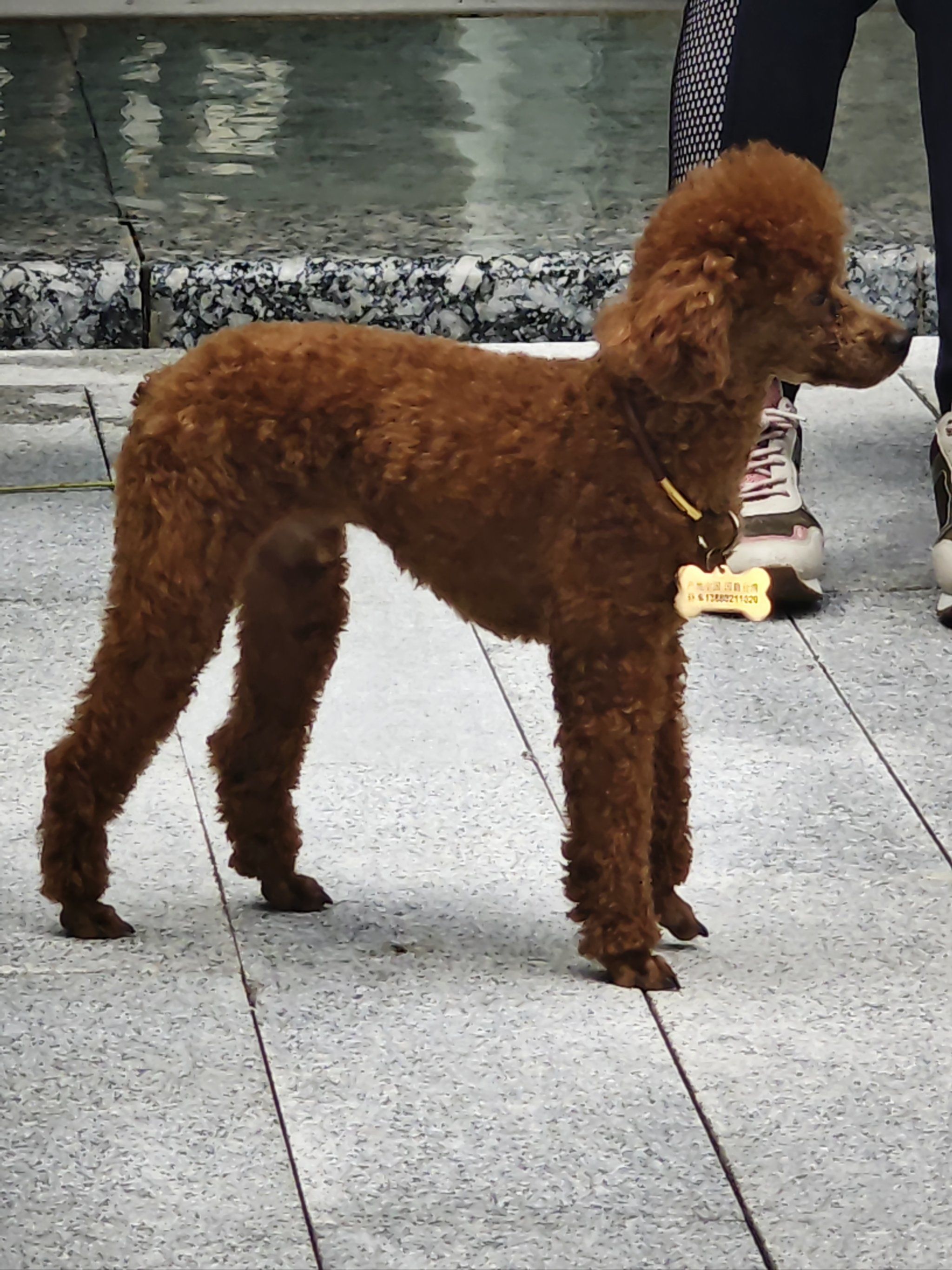 这大长腿,你爱不?