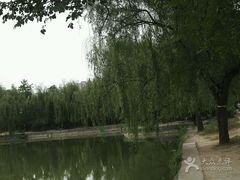 -渭滨公园