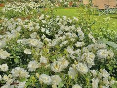 -昆明春城湖畔度假村