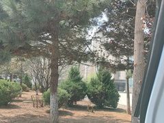 -大连金州博物馆