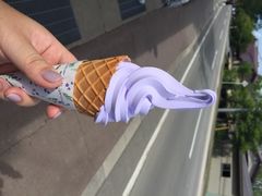 富田农场-富田农场