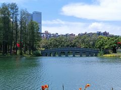 -四海公园(南山区)