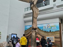 -自贡恐龙博物馆