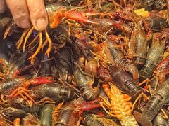 -阿明烧烤·烤鱼·小龙虾(水清路店)