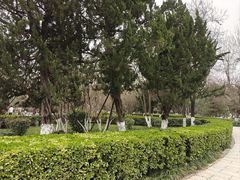 -莲湖公园