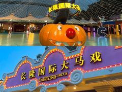 -广州长隆国际大马戏