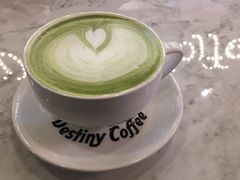 -命运咖啡馆Destiny Coffee