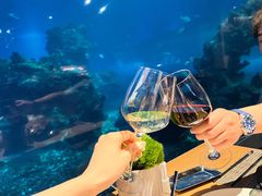 -涛·海底餐厅·美人鱼·自助餐·海底隧道(三亚海棠湾洲际度假酒店)