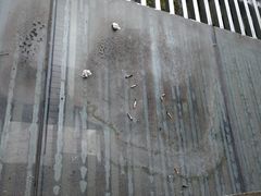 -宁波九龙湖开元度假村