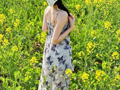 -杭州湾海上花田景区