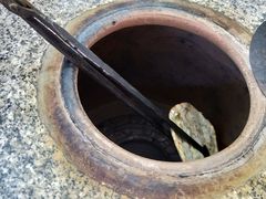 -内涵饵块