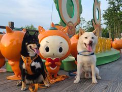 -上海长兴岛郊野公园