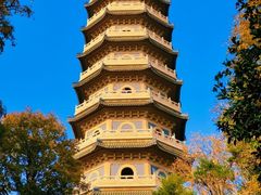 -灵谷景区