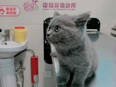 -哆趣宠物医院·眼科·内镜·急重症转诊中心(上海店)