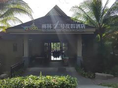-呀诺达热带雨林