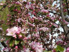 -元大都城垣遗址公园