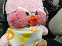 -新辣道鱼火锅(领展购物广场·中关村店)