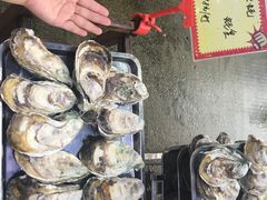 -蚝专家(北滘店)