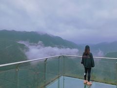-四明山国家森林公园