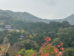 -香山公园