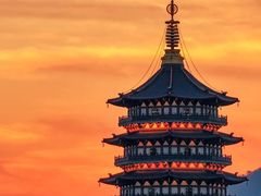 -运河游船(武林门码头)