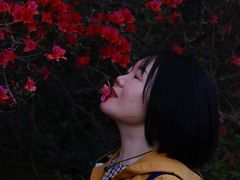 -木兰云雾山