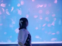 -厦门海底世界