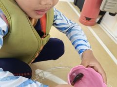 -小猫钓鱼海钓俱乐部(椰梦长廊店)