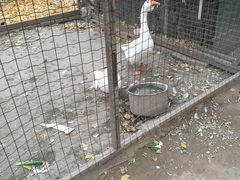 -意大利农场度假村