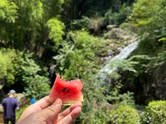 -东白山