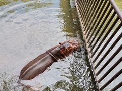 -海南热带野生动植物园