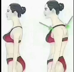 -香薇妮丝·定制减肥·身材管理