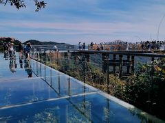 -亚龙湾热带天堂森林公园