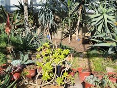 -国家植物园南园