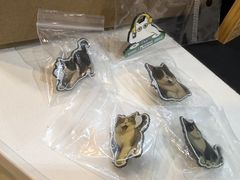 -哆趣宠物医院·眼科·内镜·急重症转诊中心(上海店)