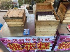-南汇桃花村