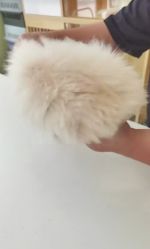 -发轩造型