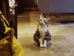 -咖法森林·咖啡  酒吧(天河店)