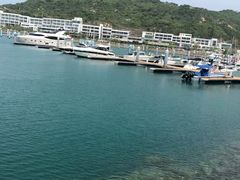 -玫瑰海岸文化旅游度假区