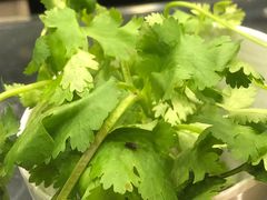 -川香煲(茅台路店)