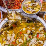 长沙我谢谢你！555终于让我吃到了正宗的川菜！！