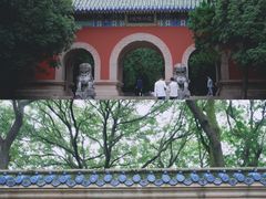 -灵谷景区