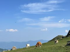 -灵山
