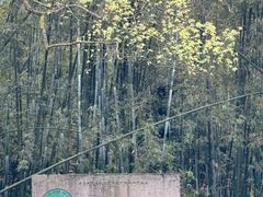 -四洞沟景区